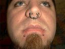 3 labret and 8 gauge septum