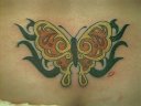 vibrantly colored butterfly with tribal 