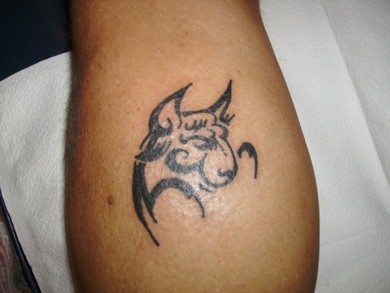 tribal taurus bull